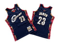 Cleveland Cavaliers LeBron James 23 BLUE MN