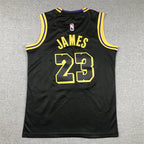 Youth LeBron James Los Angeles Lakers #23 City Edition Embroidered  Jersey