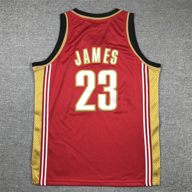 Youth LeBron James Cleveland Cavaliers #23 Embroidered  Jersey