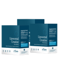 Creatine Travel Packs (3 Pack)