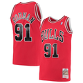 Dennis Rodman Throwback Jersey  Chicago Bulls