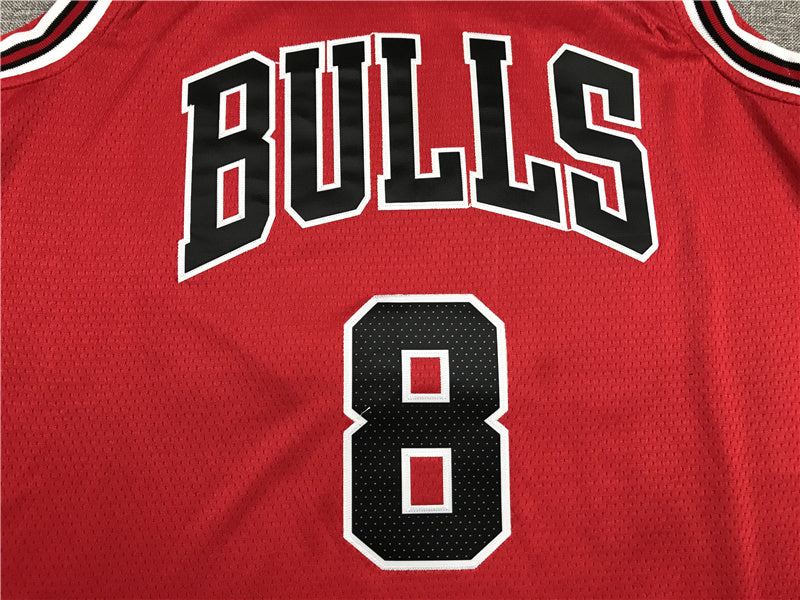 Chicago Bulls Zach LaVine #8 City Edition Swingman Jersey � Embroidered