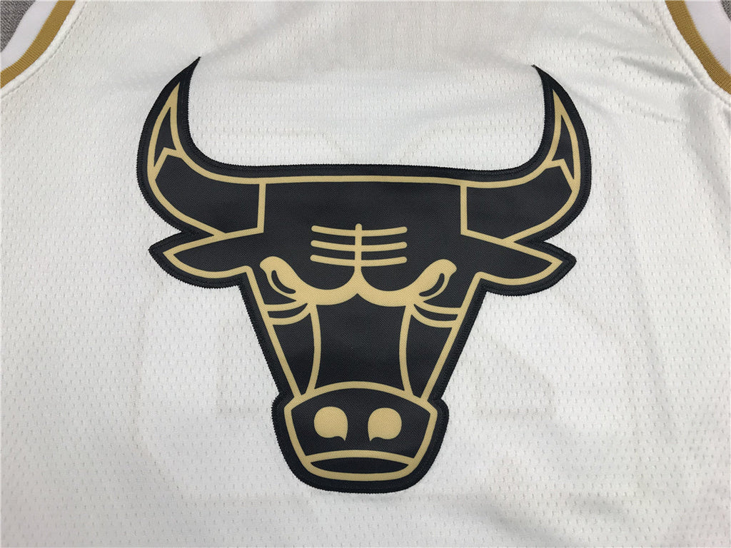 Chicago Bulls Michael Jordan #23 "Platinum" City Edition Swingman Jersey �C Embroidered