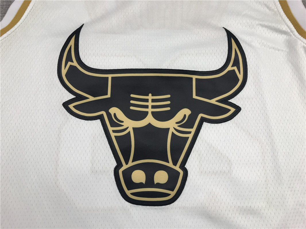 Chicago Bulls Michael Jordan #23 "Platinum" City Edition Swingman Jersey �C Embroidered