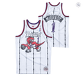 Tracy McGrady Toronto Raptors Throwback Jersey MN