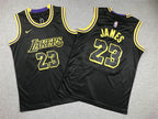 Youth LeBron James Los Angeles Lakers #23 City Edition Embroidered  Jersey