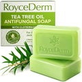 Roycederm Antifungal Bar Soap - Tea tree Oil Soap - Athlete’s Foot Treatment for Jock Itch & Ringworm - Medicated Antifungal Soap with Clotrimazole 1% - Tea Tree Oil Scent, 1 Pack