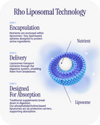 Liposomal TMG (3 Pack)