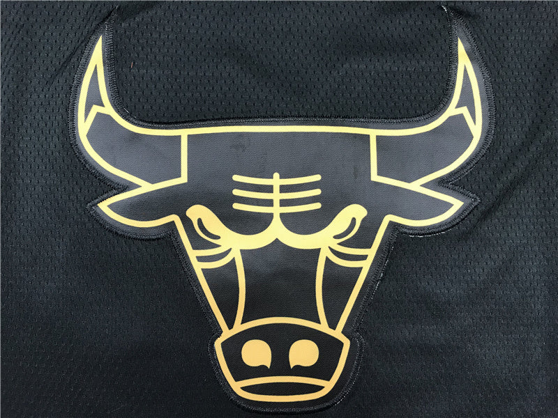 Chicago Bulls Michael Jordan #23 "Black & Gold" City Edition Swingman Jersey �C Embroidered