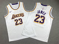Youth LeBron James Los Angeles Lakers #23  Embroidered  Jersey
