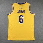 Youth LeBron James Los Angeles Lakers #6   Embroidered  Jersey