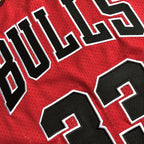 Chicago Bulls  Scottie Pippen 33 Red Thorwback Jersey