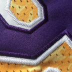 BAPE Los Angeles Lakers Jersey